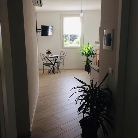 Minimal